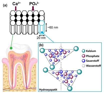 Blitzangebot 😍 – Nicht verpassen! – ODEIUN™ Mineralpulver zur Zahnreparatur 🦷 (von der BZÄK empfohlen)