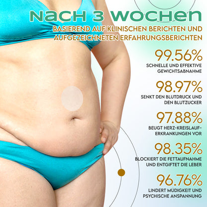 🔥 LBMLBM™ NIDDK-Tirzepatide Schlankheits-Nano-Mikronadel-Pflaster Zero Pain | 24/7 Kontrollierte Freisetzung | Bis zu 20 lbs schneller abnehmen | 90% Zuckerabfall