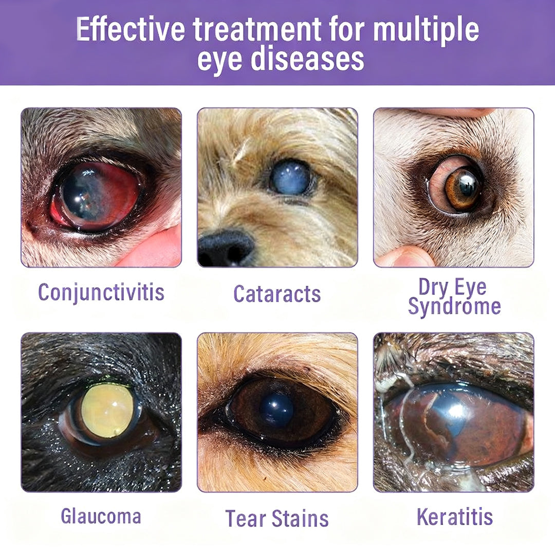 👩‍⚕️ Zakdavi™ NanoCare Pet Eye Drops ☑️ FDA Approved | Relieves Conjunctivitis, Dry Eyes, Cataracts, and Keratitis🐶